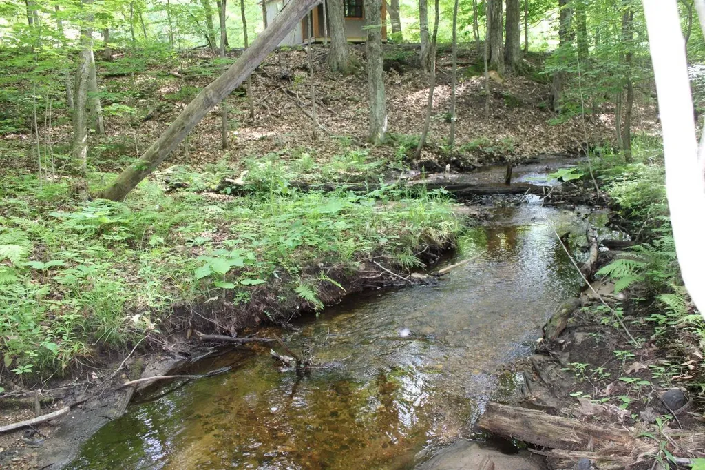 2750 NE Apple Creek Road Kalkaska Township MI 49646