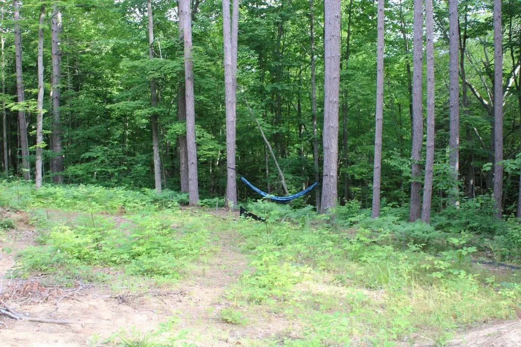 2750 NE Apple Creek Road Kalkaska Township MI 49646