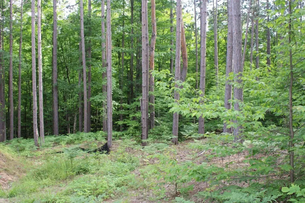 2750 NE Apple Creek Road Kalkaska Township MI 49646