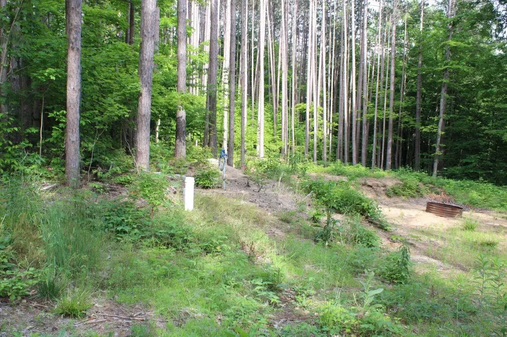 2750 NE Apple Creek Road Kalkaska Township MI 49646