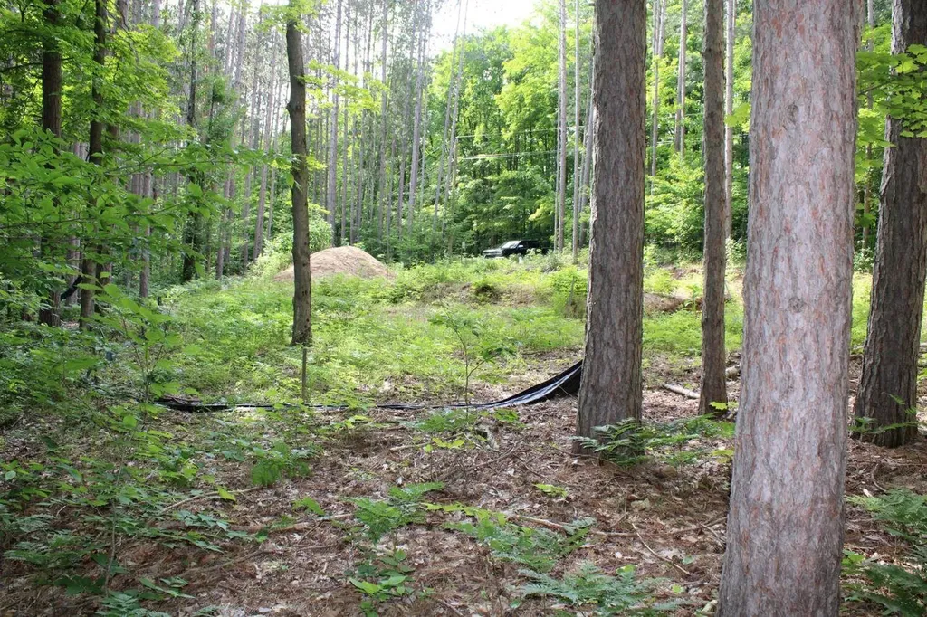 2750 NE Apple Creek Road Kalkaska Township MI 49646