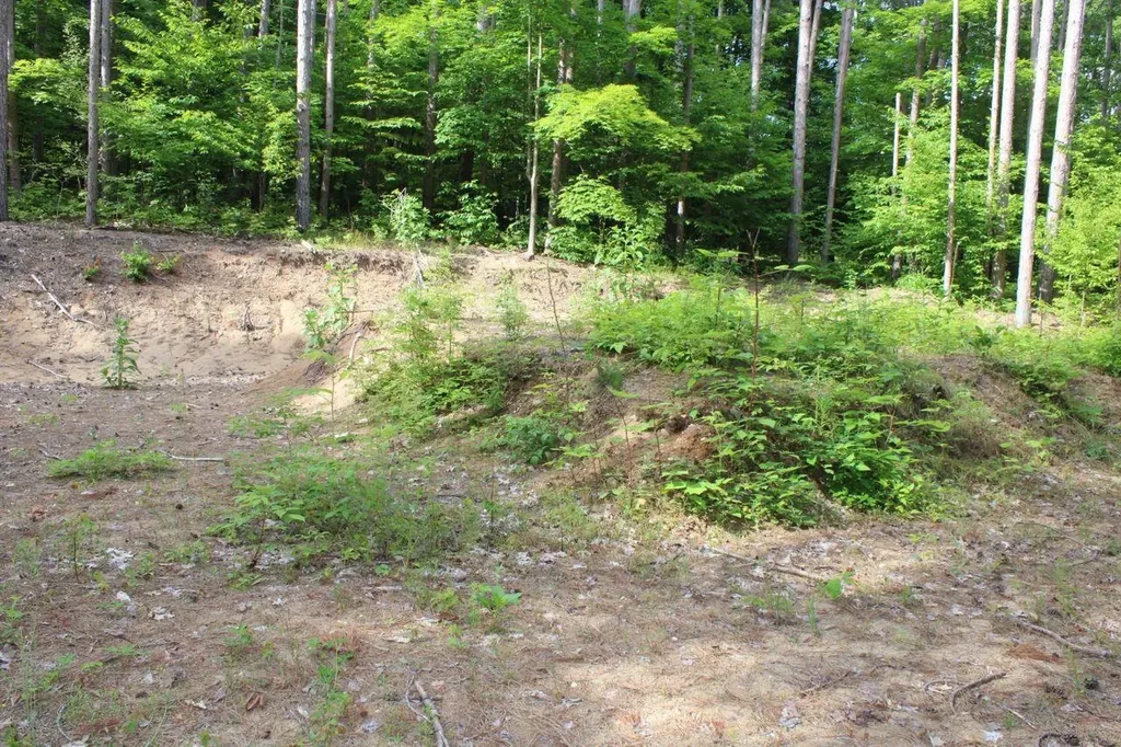 2750 NE Apple Creek Road Kalkaska Township MI 49646