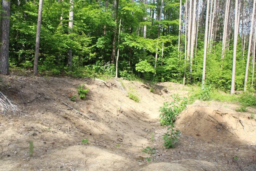2750 NE Apple Creek Road Kalkaska Township MI 49646