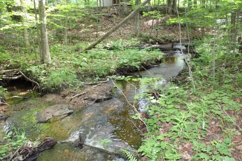 2750 NE Apple Creek Road Kalkaska Township MI 49646