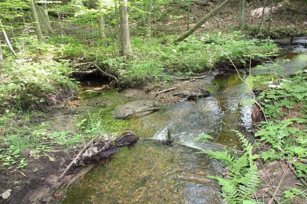 2750 NE Apple Creek Road Kalkaska Township MI 49646