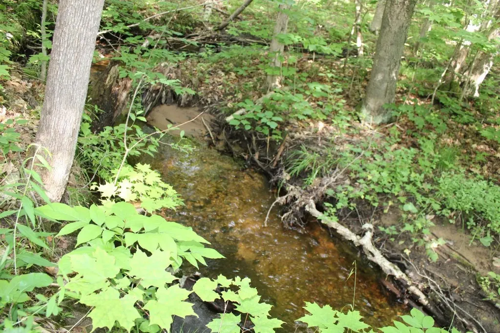 2750 NE Apple Creek Road Kalkaska Township MI 49646