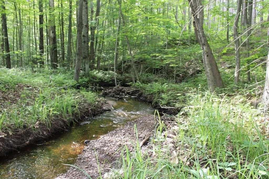 2750 NE Apple Creek Road Kalkaska Township MI 49646
