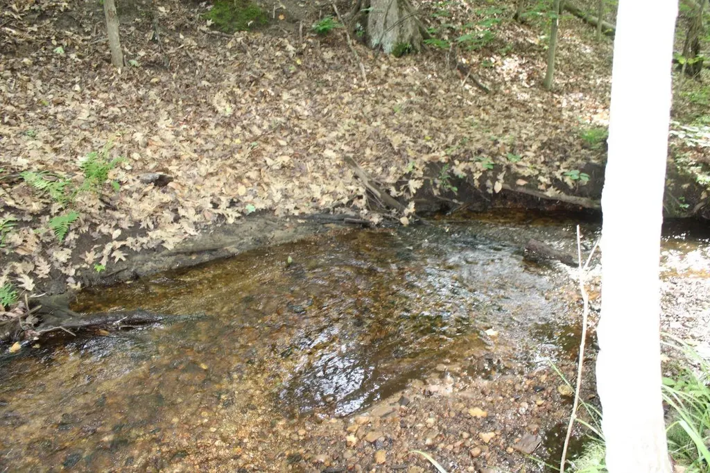 2750 NE Apple Creek Road Kalkaska Township MI 49646