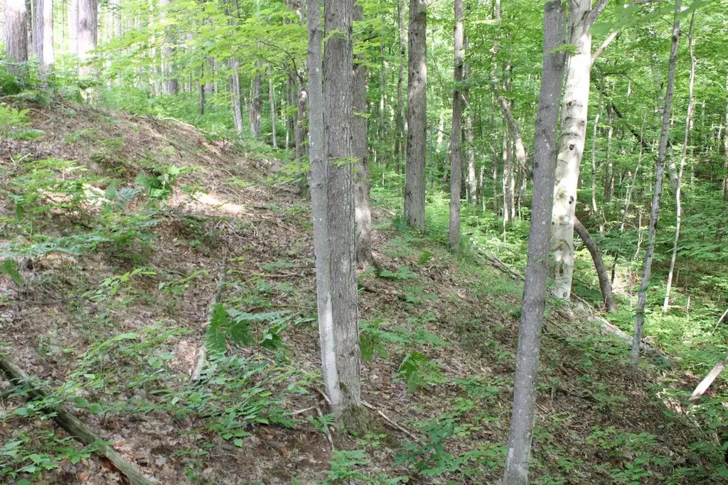 2750 NE Apple Creek Road Kalkaska Township MI 49646