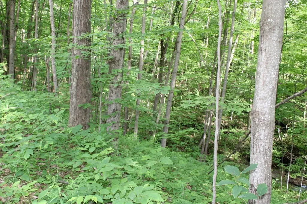 2750 NE Apple Creek Road Kalkaska Township MI 49646