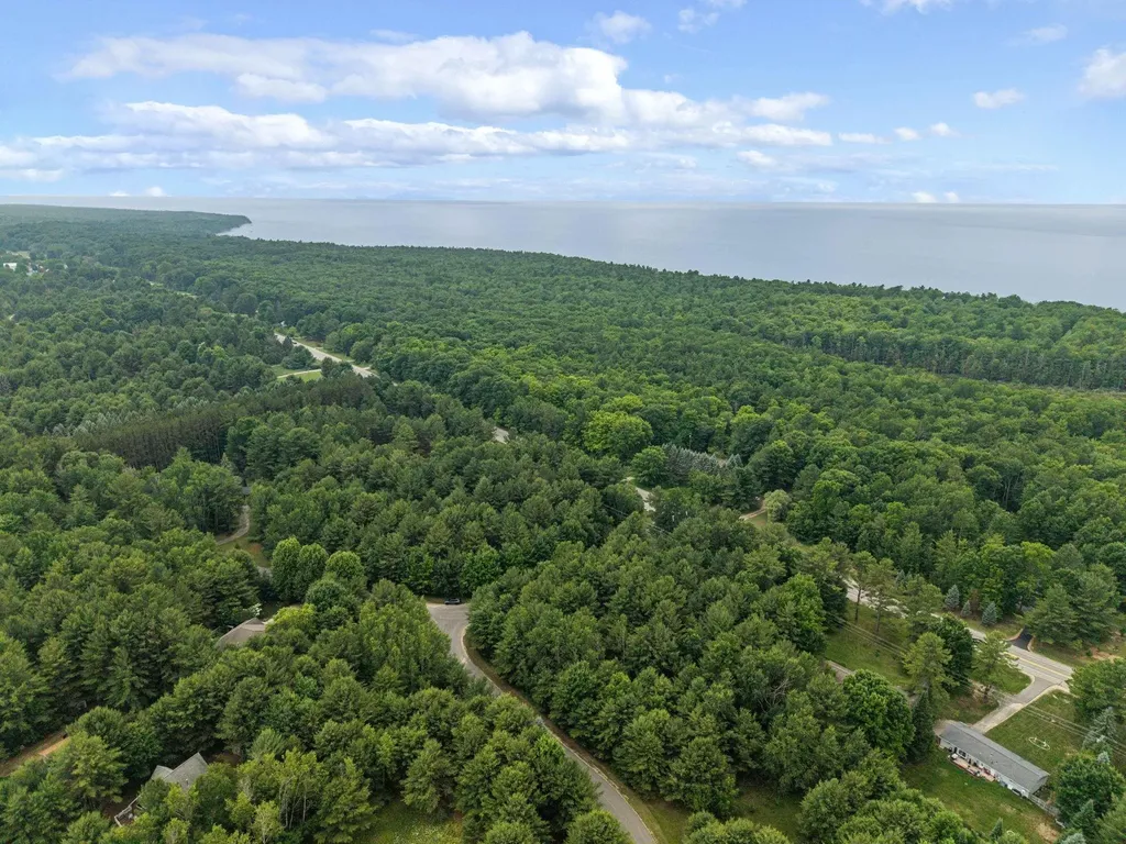 3702 Servers Drive Torch Lake Township MI 49648