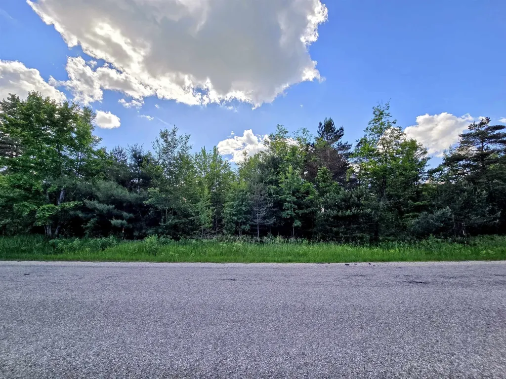 267 Pineview Drive Mancelona Township MI 49659