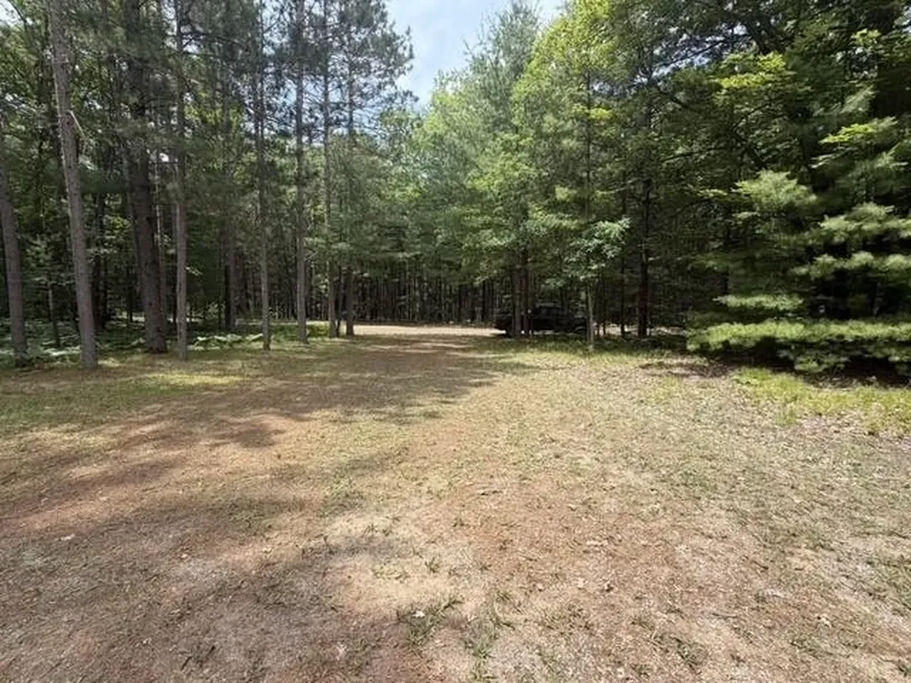 00 N Green Road Caldwell Township MI 49651