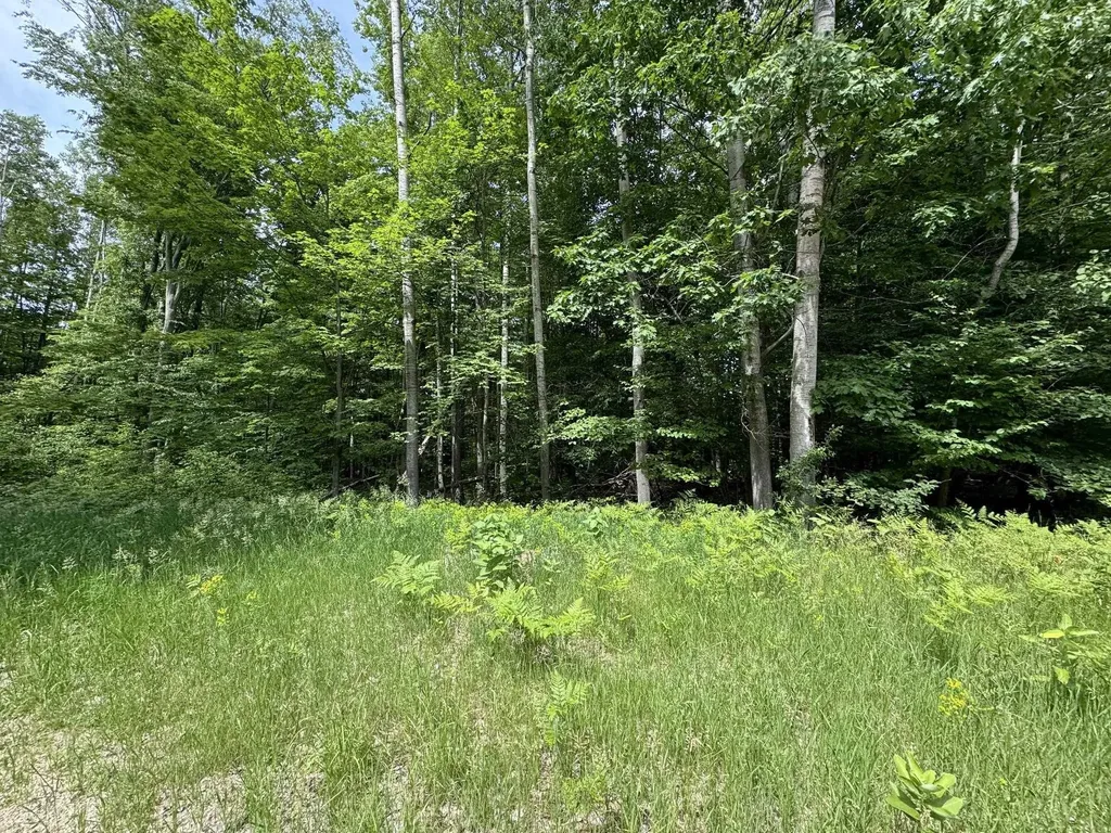 Knoll One Drive Rose Lake Township MI 49655
