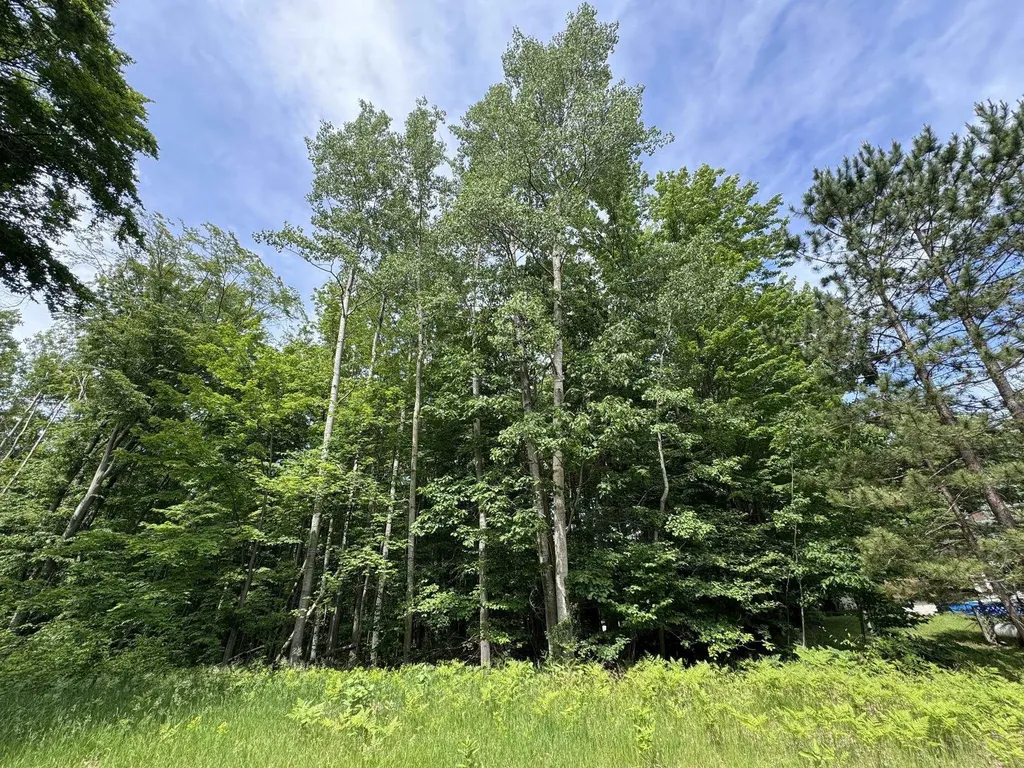 Knoll One Drive Rose Lake Township MI 49655