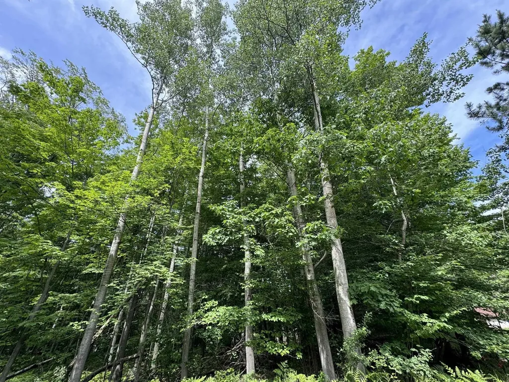 Knoll One Drive Rose Lake Township MI 49655