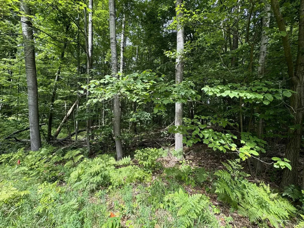 Knoll One Drive Rose Lake Township MI 49655