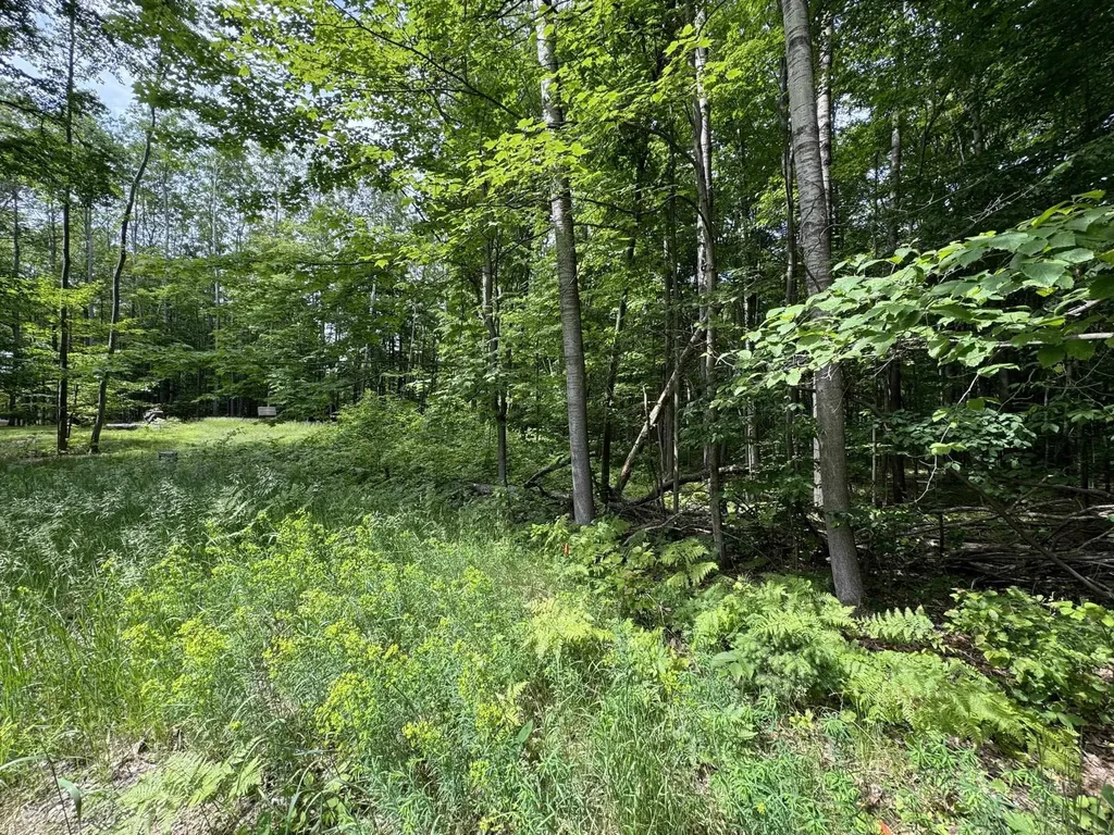 Knoll One Drive Rose Lake Township MI 49655