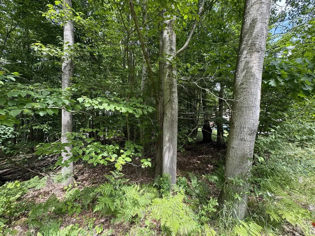 Knoll One Drive Rose Lake Township MI 49655
