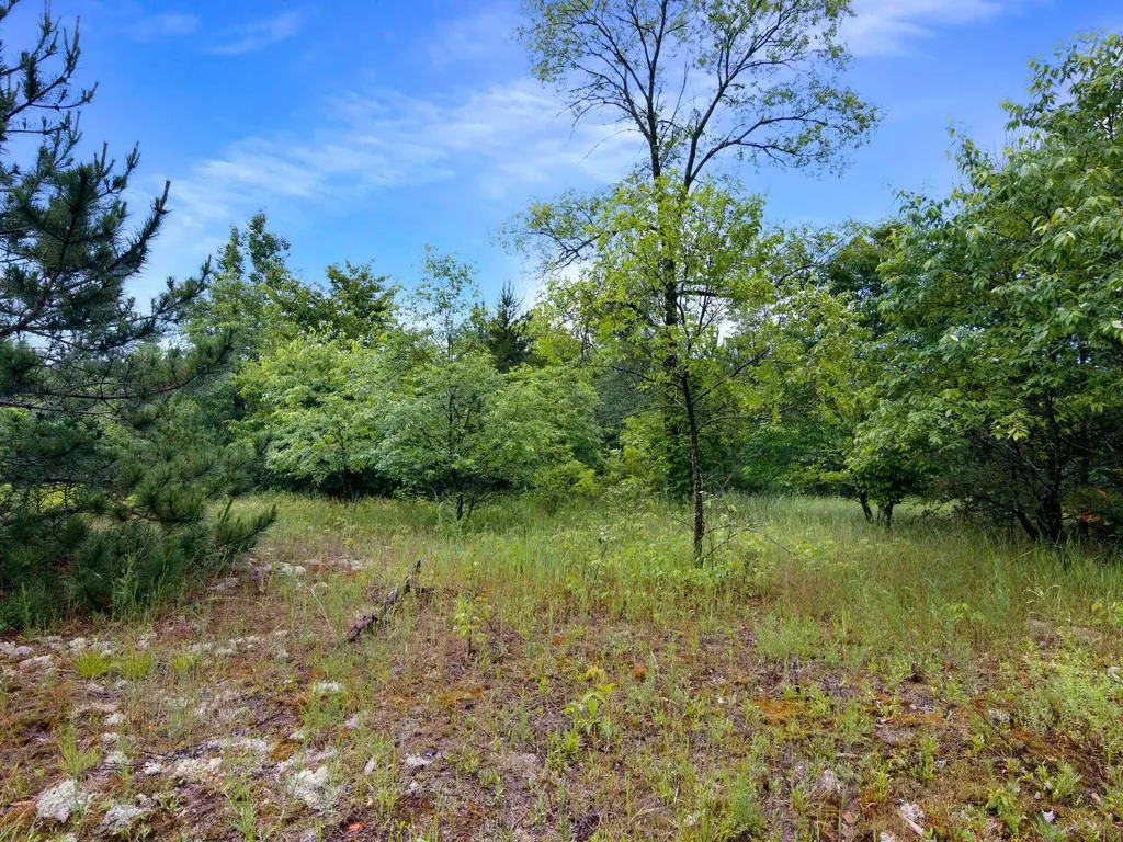 0000 Maple Farms Lane Paradise Township MI 49649