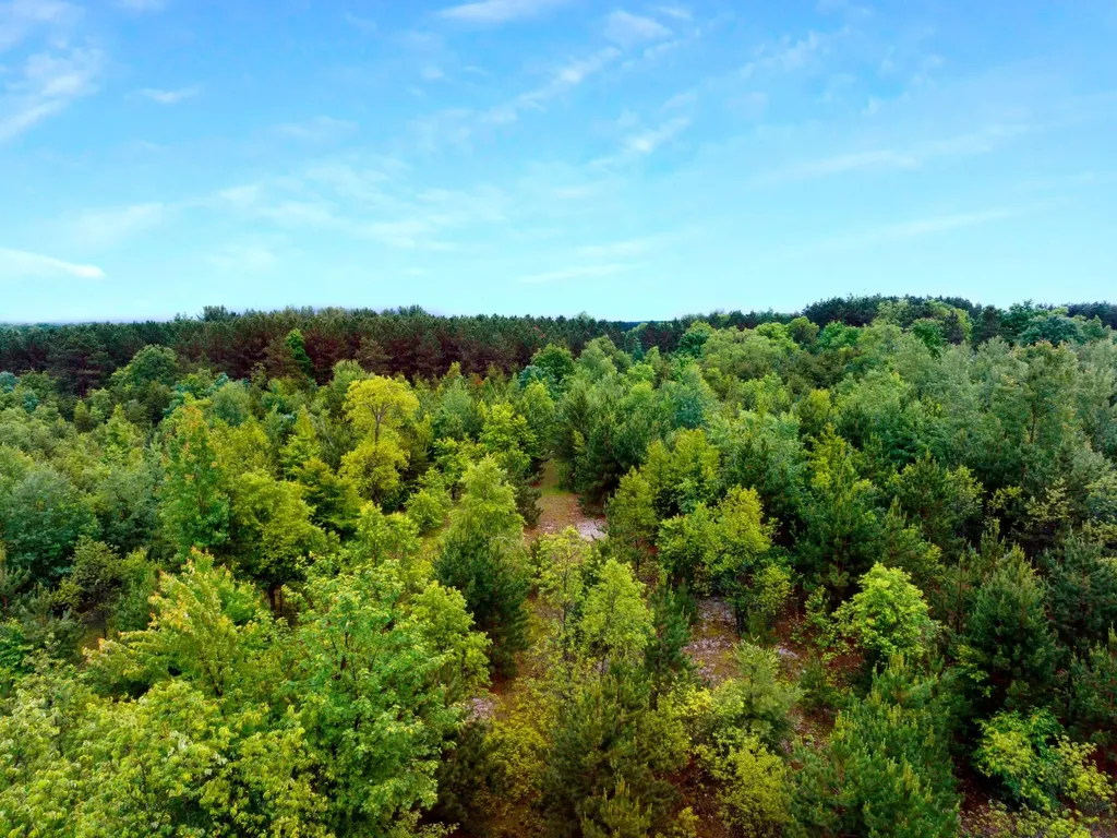 0000 Maple Farms Lane Paradise Township MI 49649