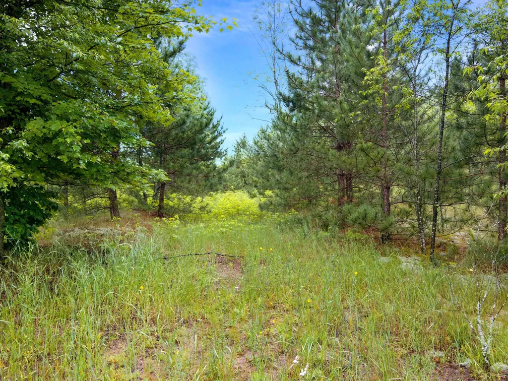0000 Maple Farms Lane Paradise Township MI 49649