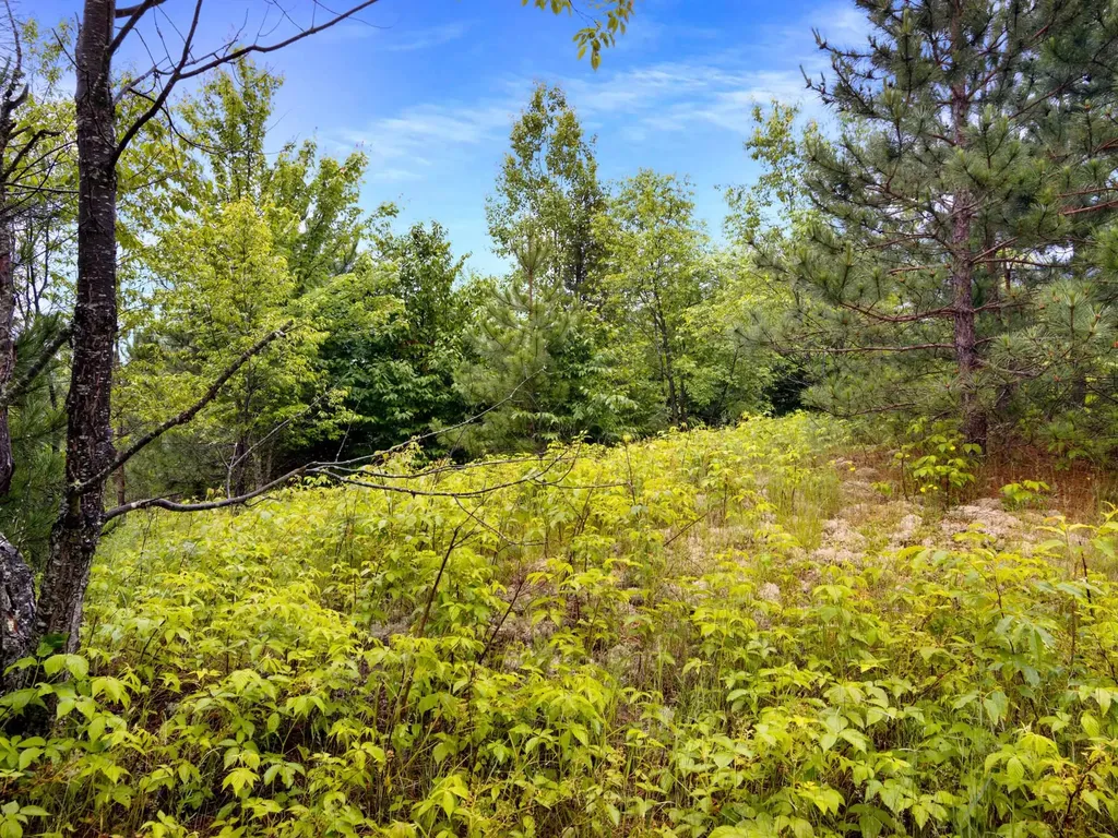 0000 Maple Farms Lane Paradise Township MI 49649