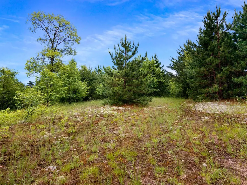 0000 Maple Farms Lane Paradise Township MI 49649