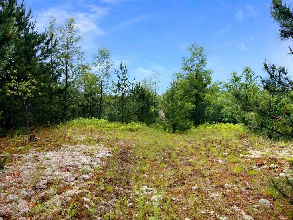 0000 Maple Farms Lane Paradise Township MI 49649