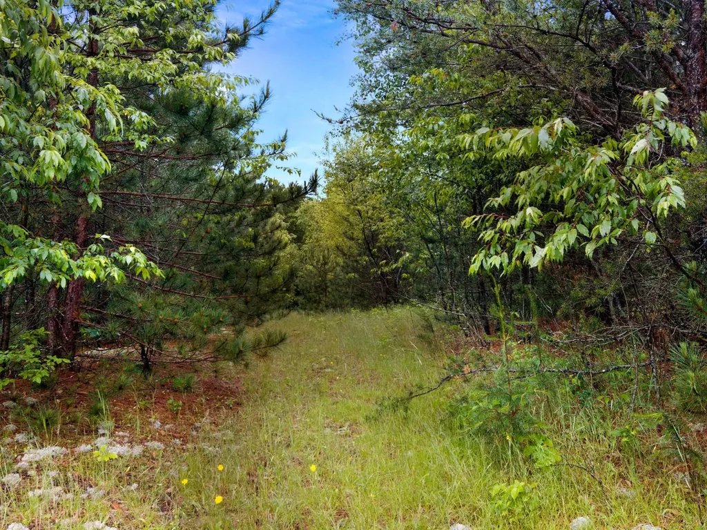 0000 Maple Farms Lane Paradise Township MI 49649