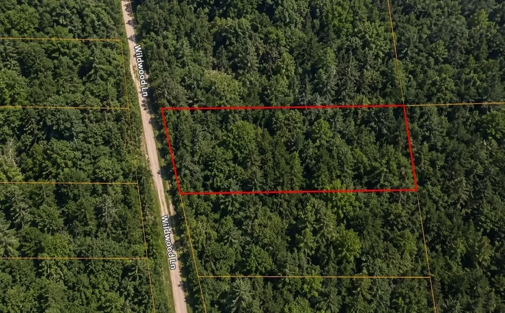 3576 Wildwood Lane Torch Lake Township MI 49648