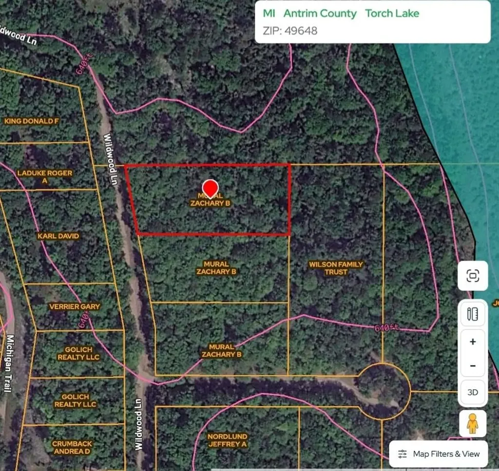 3576 Wildwood Lane Torch Lake Township MI 49648