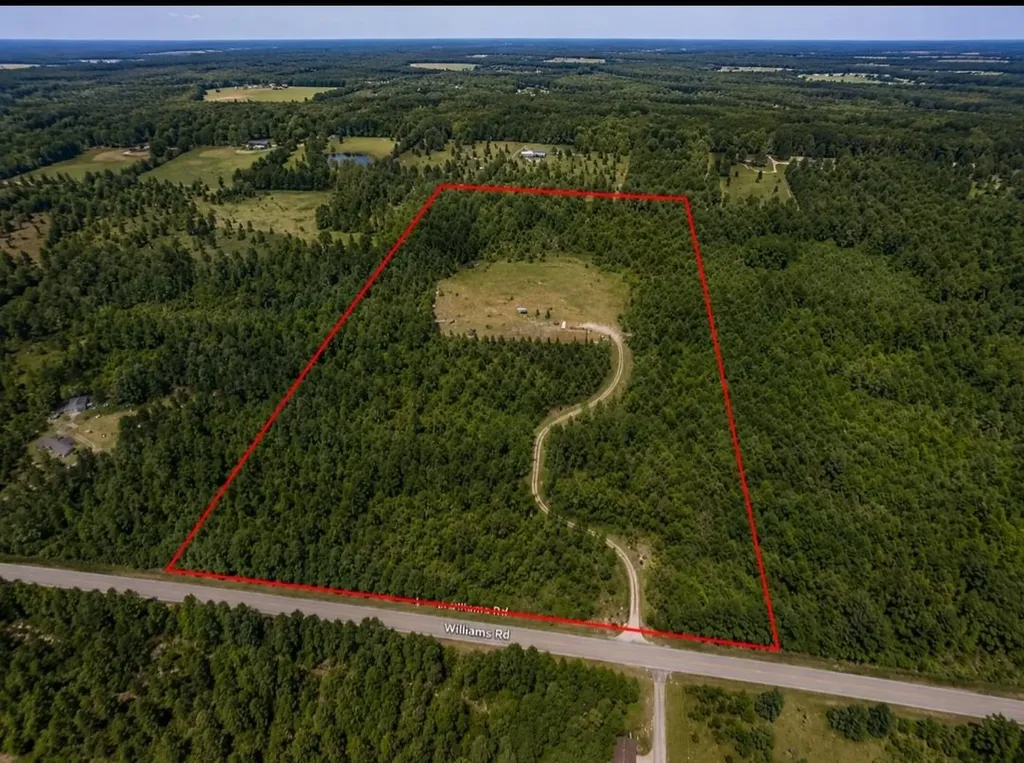 3780 Williams Greenwood Township MI 49756