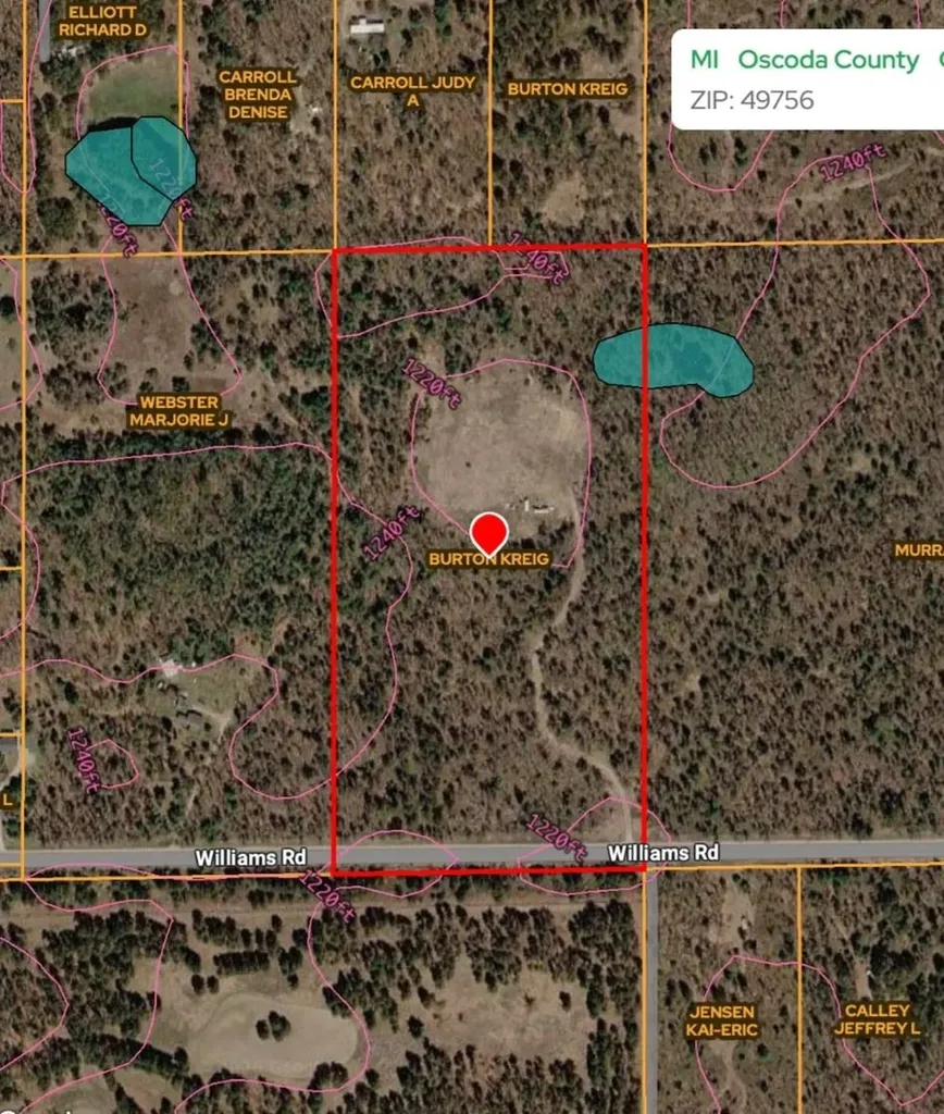 3780 Williams Greenwood Township MI 49756
