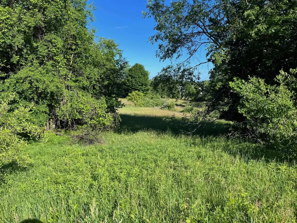S Roen Drive Empire Township MI 49630
