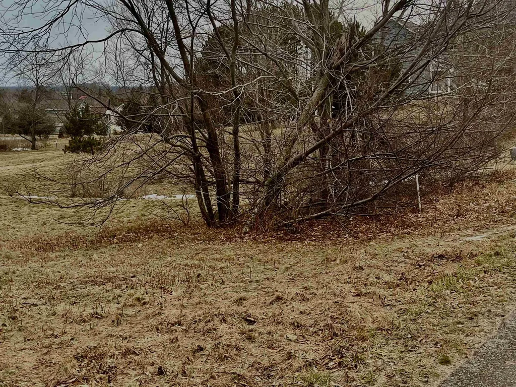 S Roen Drive Empire Township MI 49630