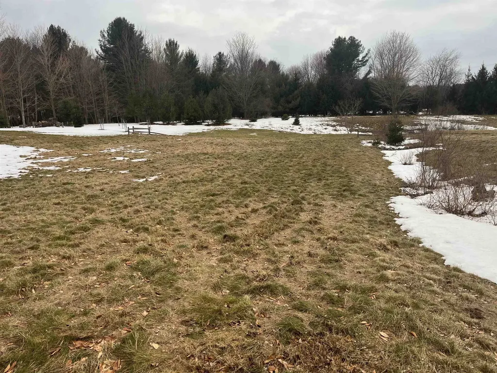 S Roen Drive Empire Township MI 49630