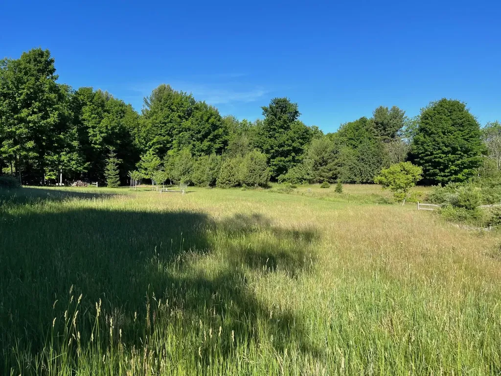 S Roen Drive Empire Township MI 49630