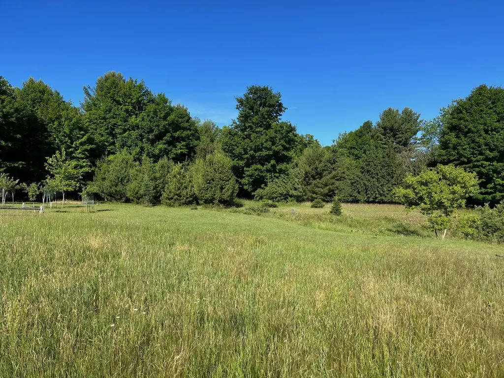 S Roen Drive Empire Township MI 49630