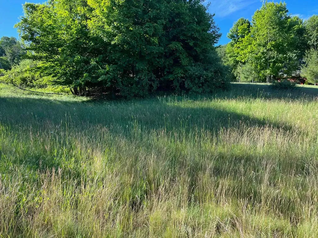 S Roen Drive Empire Township MI 49630