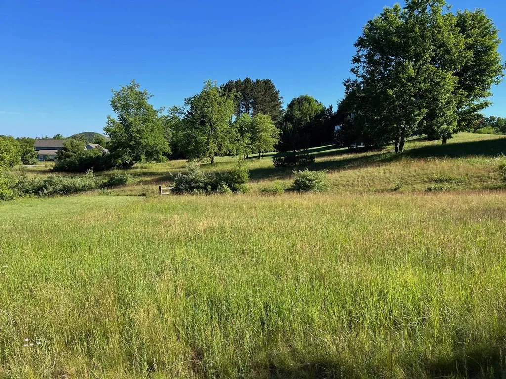 S Roen Drive Empire Township MI 49630