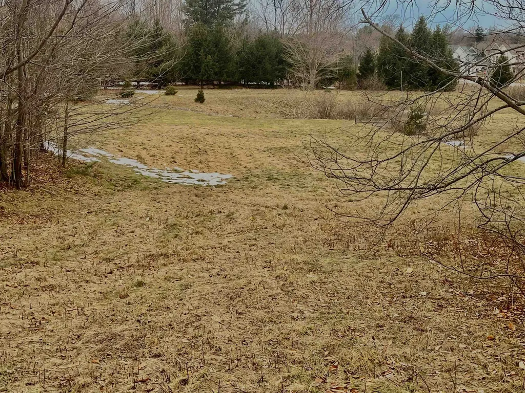 S Roen Drive Empire Township MI 49630