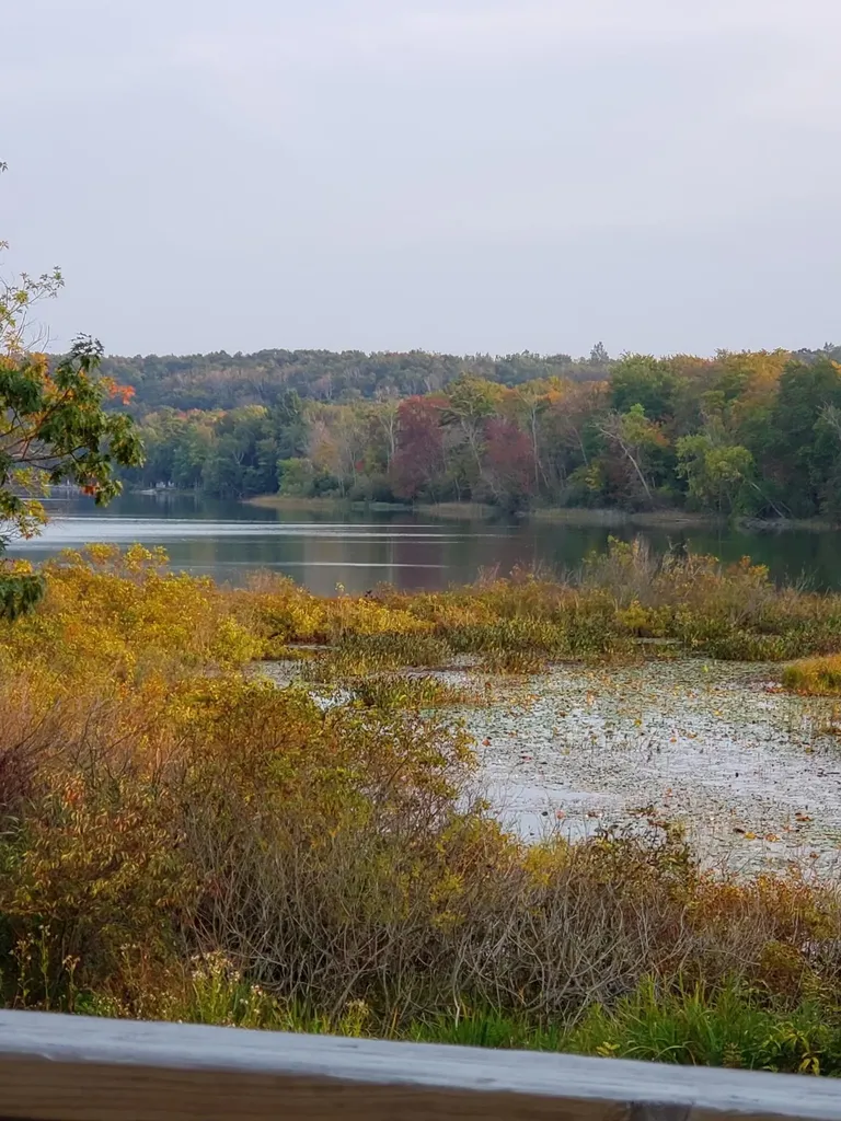 4091 N Scenic Highway Lake Township MI 49640