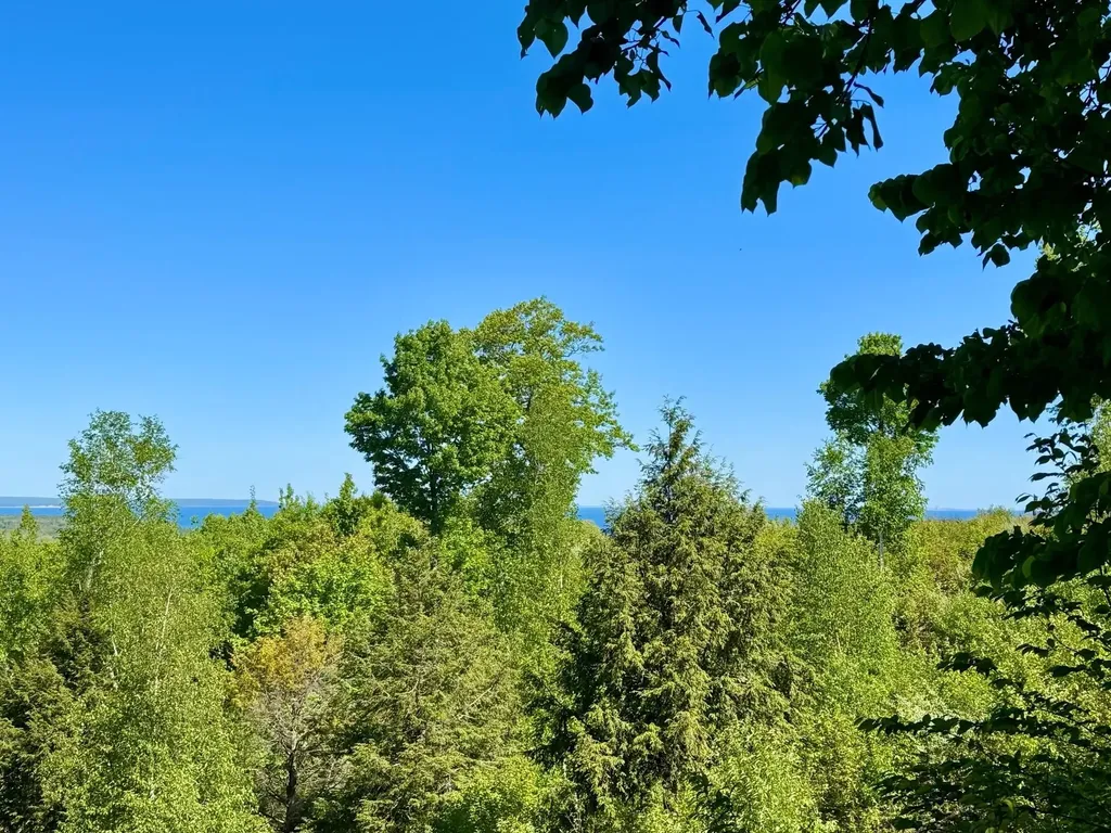 Lot 9 W Harbour Ridge Cleveland Township MI 49664