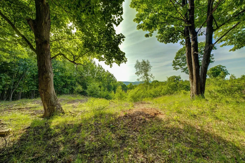 Lot 9 W Harbour Ridge Cleveland Township MI 49664