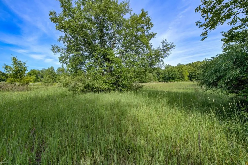 Lot 9 W Harbour Ridge Cleveland Township MI 49664