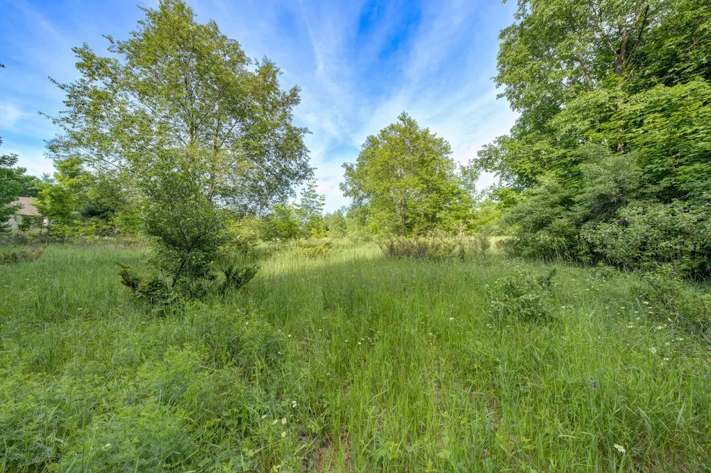 Lot 9 W Harbour Ridge Cleveland Township MI 49664