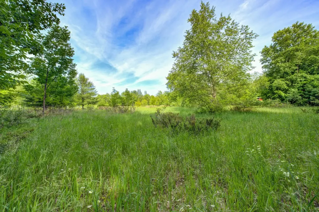 Lot 9 W Harbour Ridge Cleveland Township MI 49664