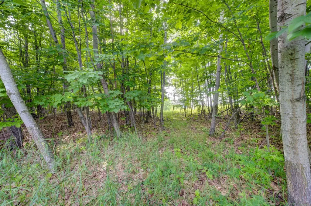 Lot 9 W Harbour Ridge Cleveland Township MI 49664