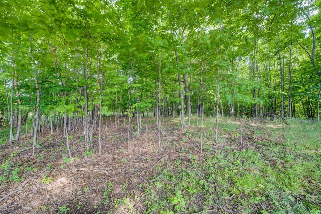 Lot 9 W Harbour Ridge Cleveland Township MI 49664